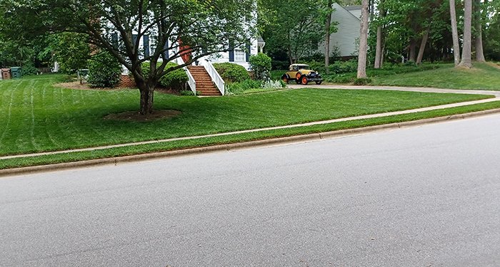 Lawn Maintenance