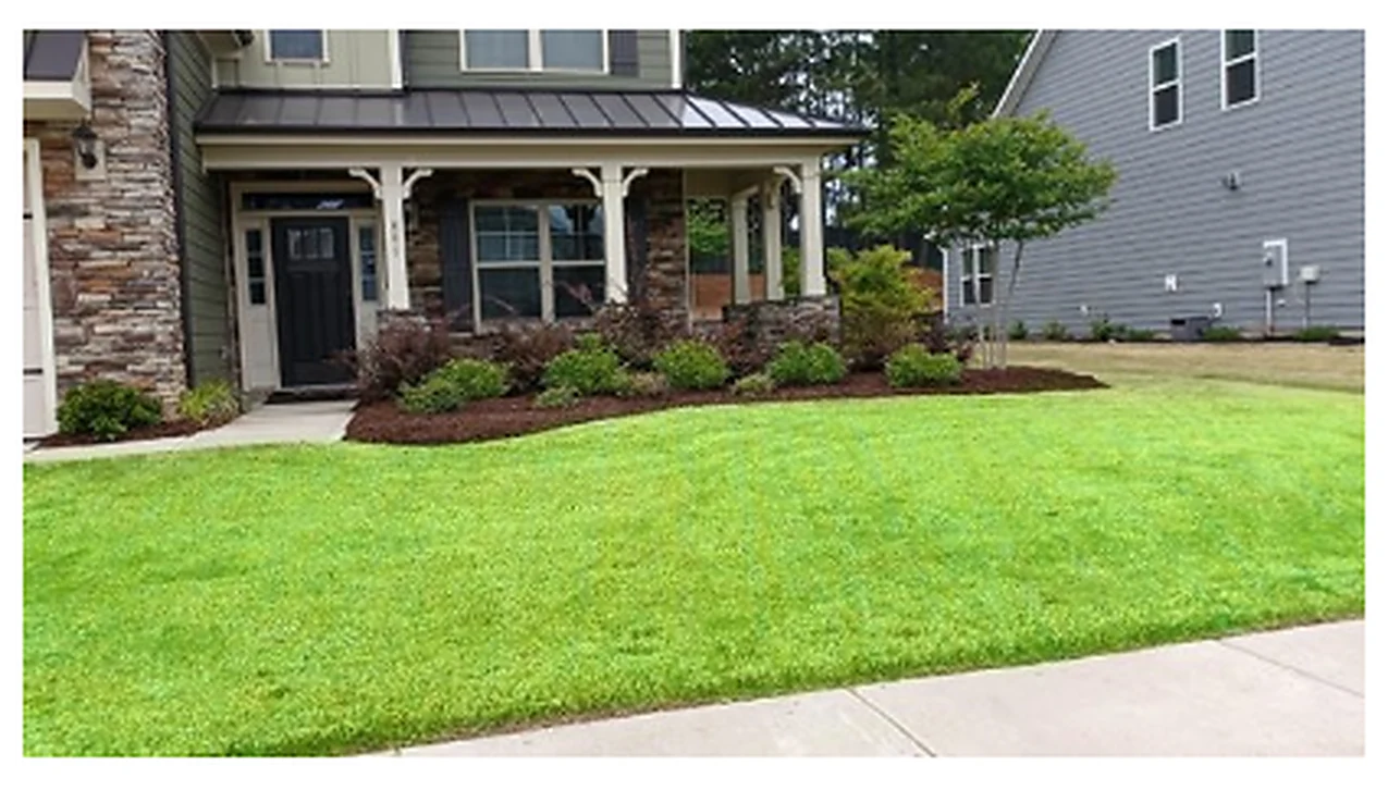 SOD Installation